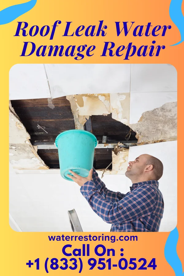 Roof Leak Water Damage Repair in Kendleton, TX